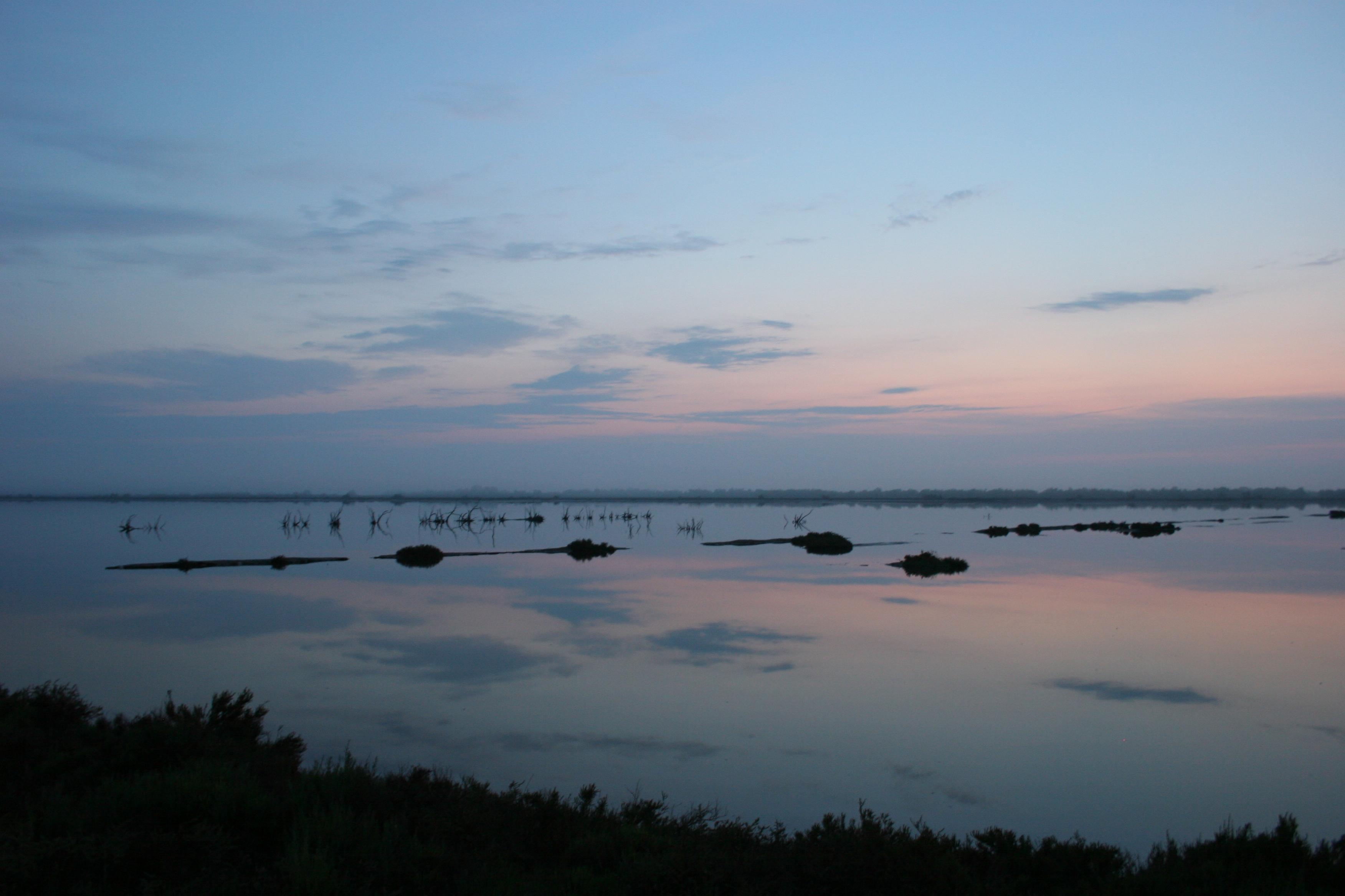IMG_7563.JPG