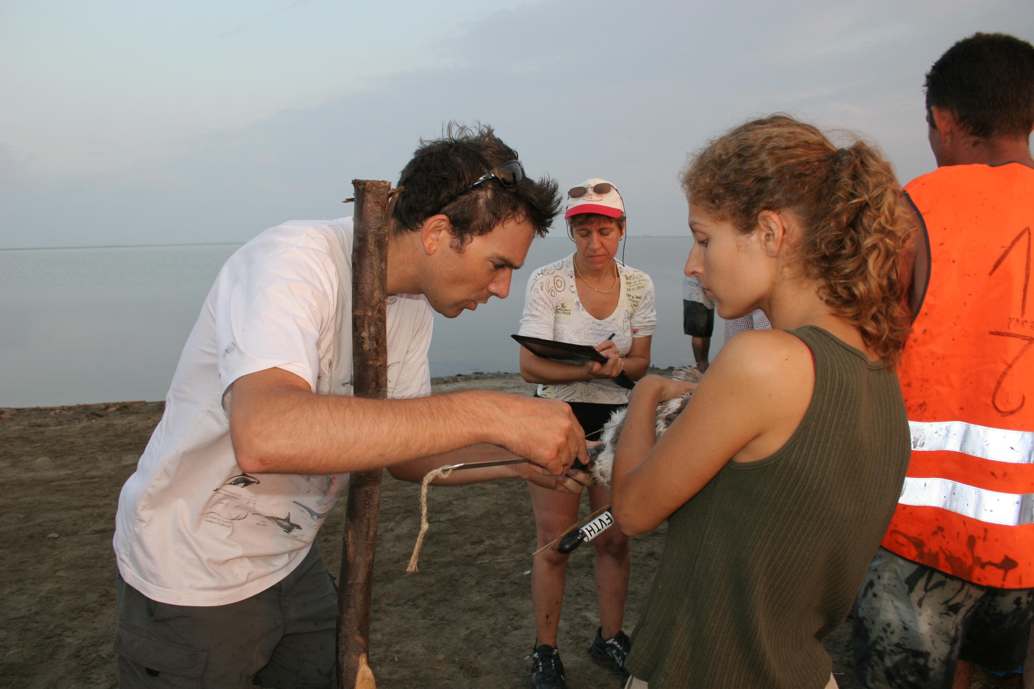 IMG_7722.JPG