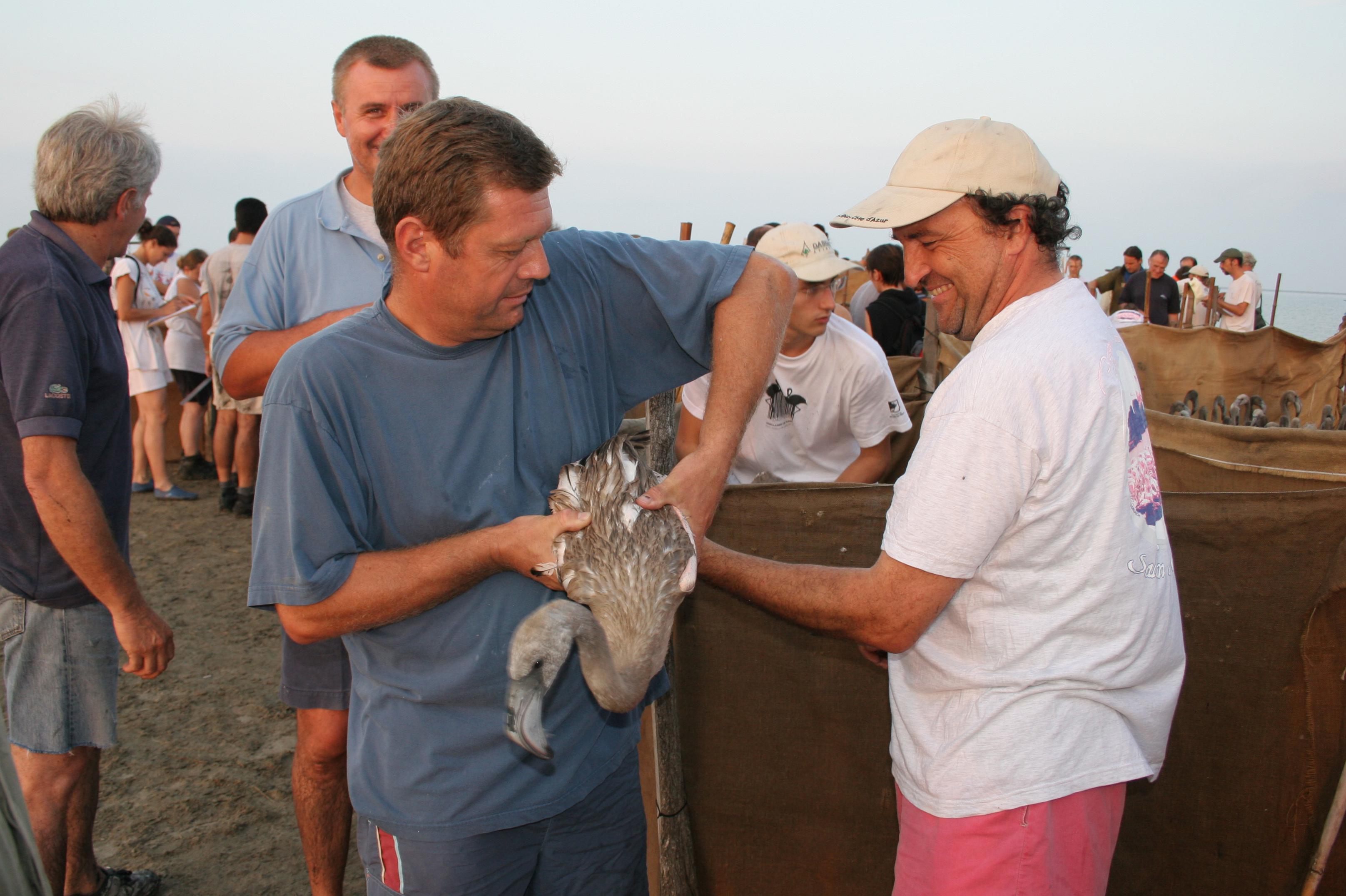 IMG_7762.JPG
