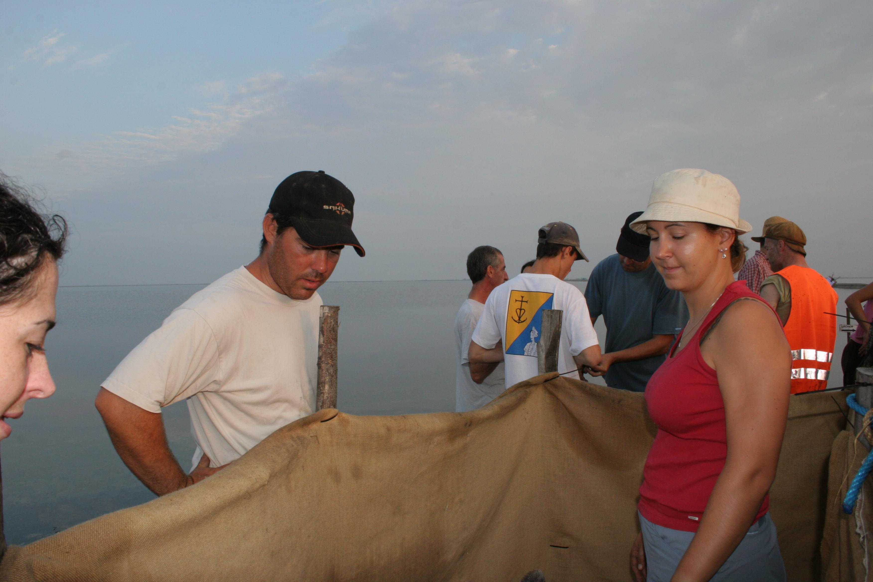 IMG_7847.JPG