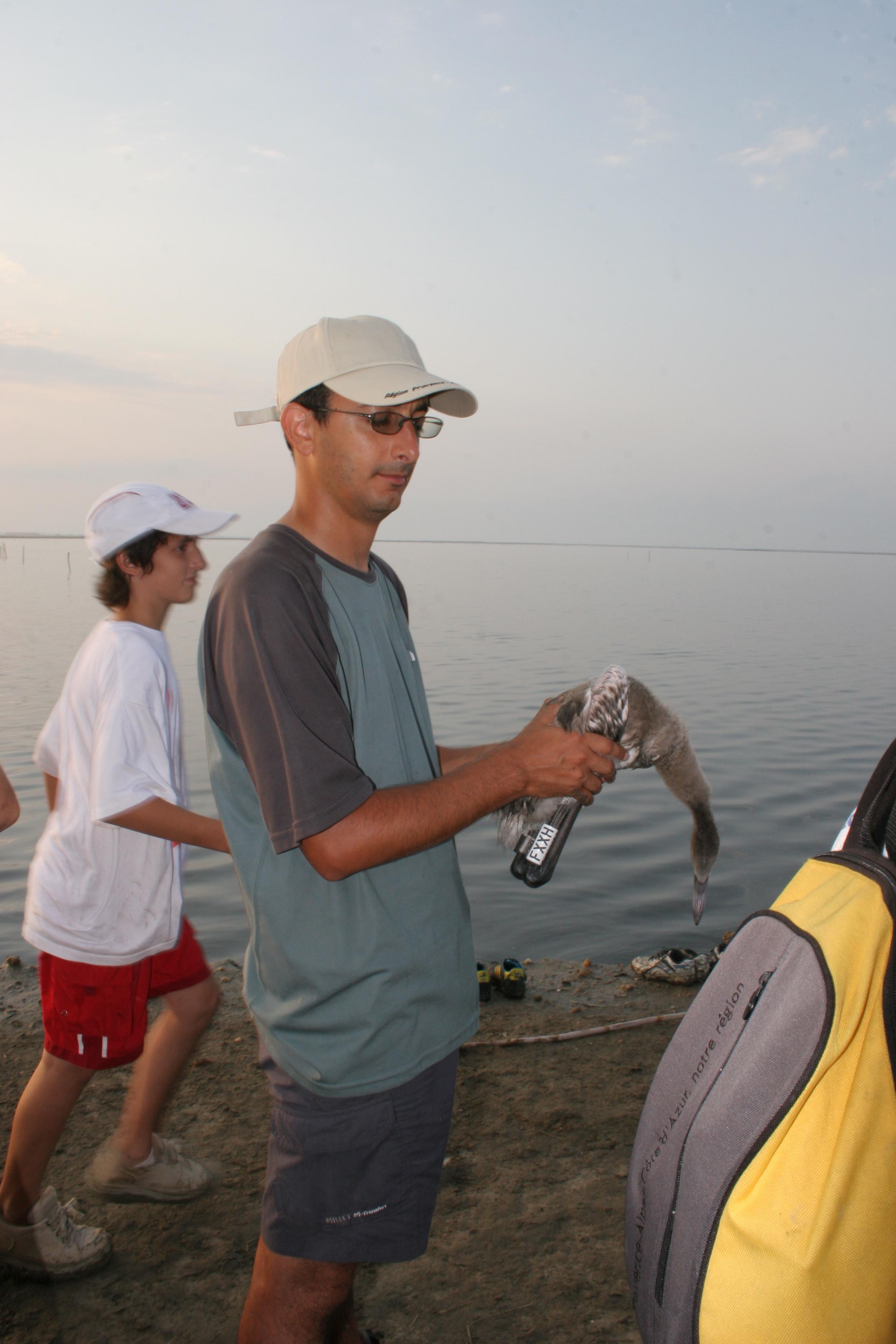 IMG_7919.JPG