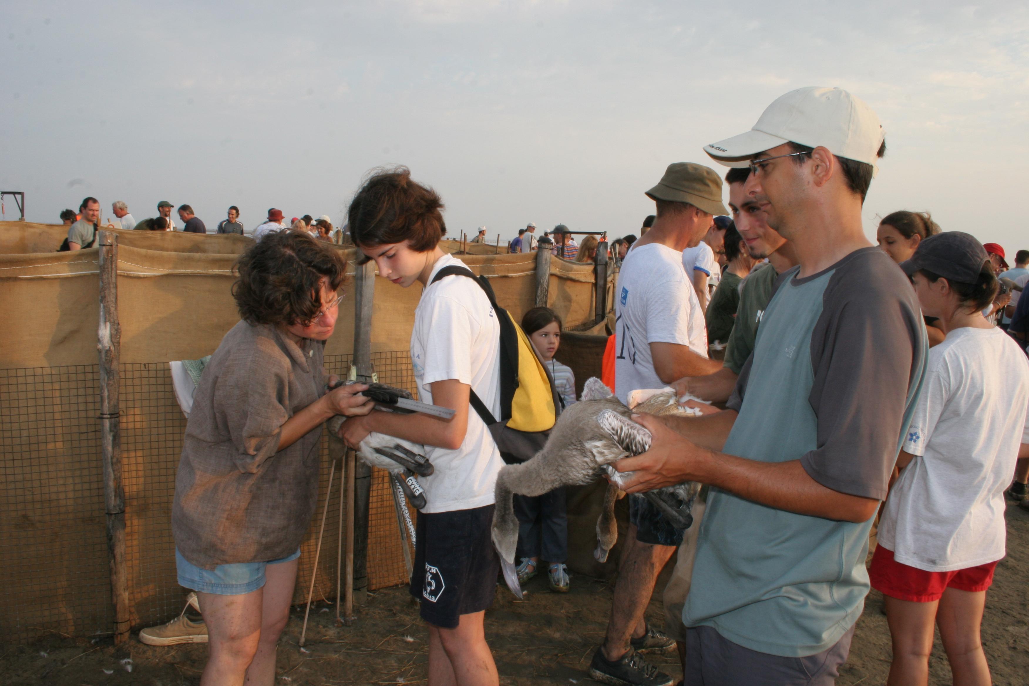 IMG_7921.JPG