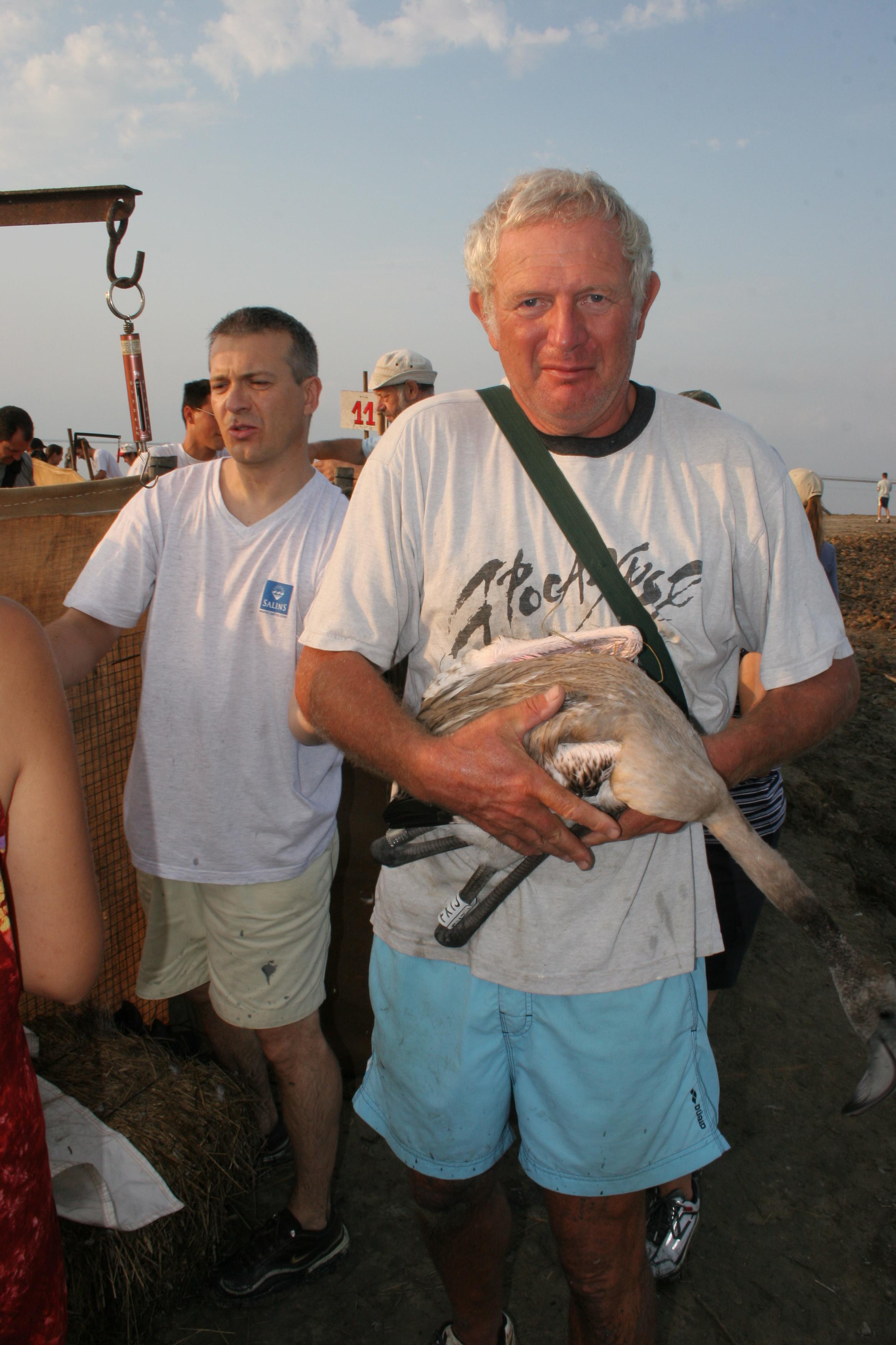 IMG_7954.JPG