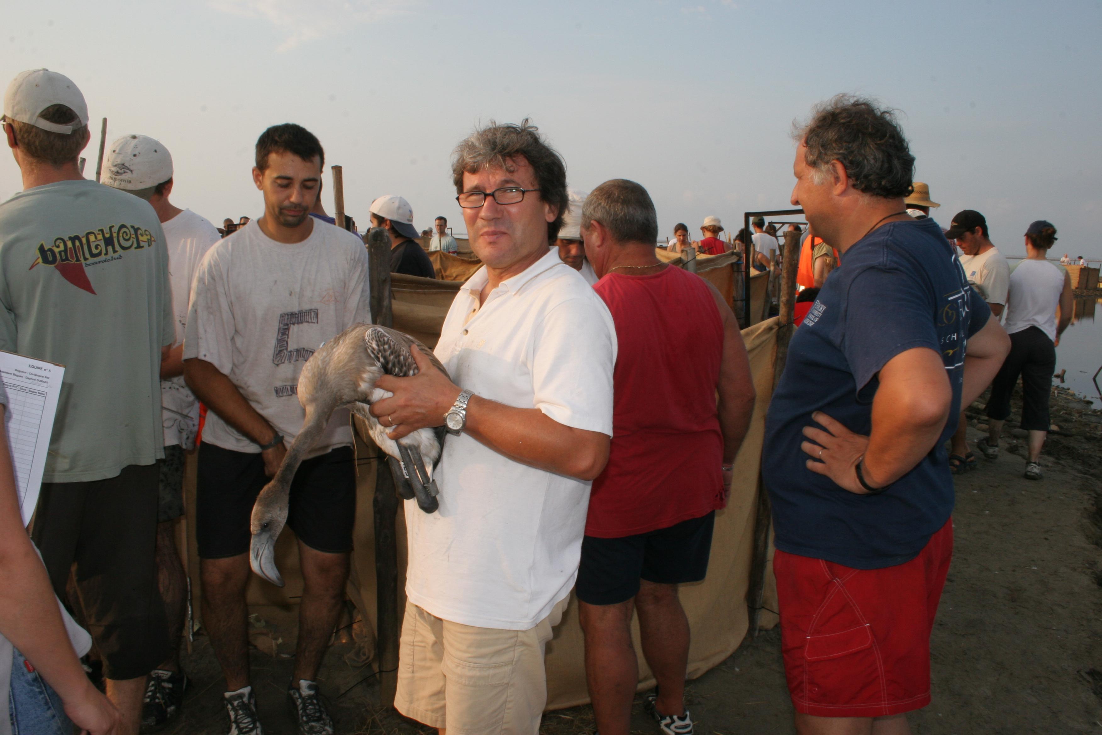 IMG_7969.JPG