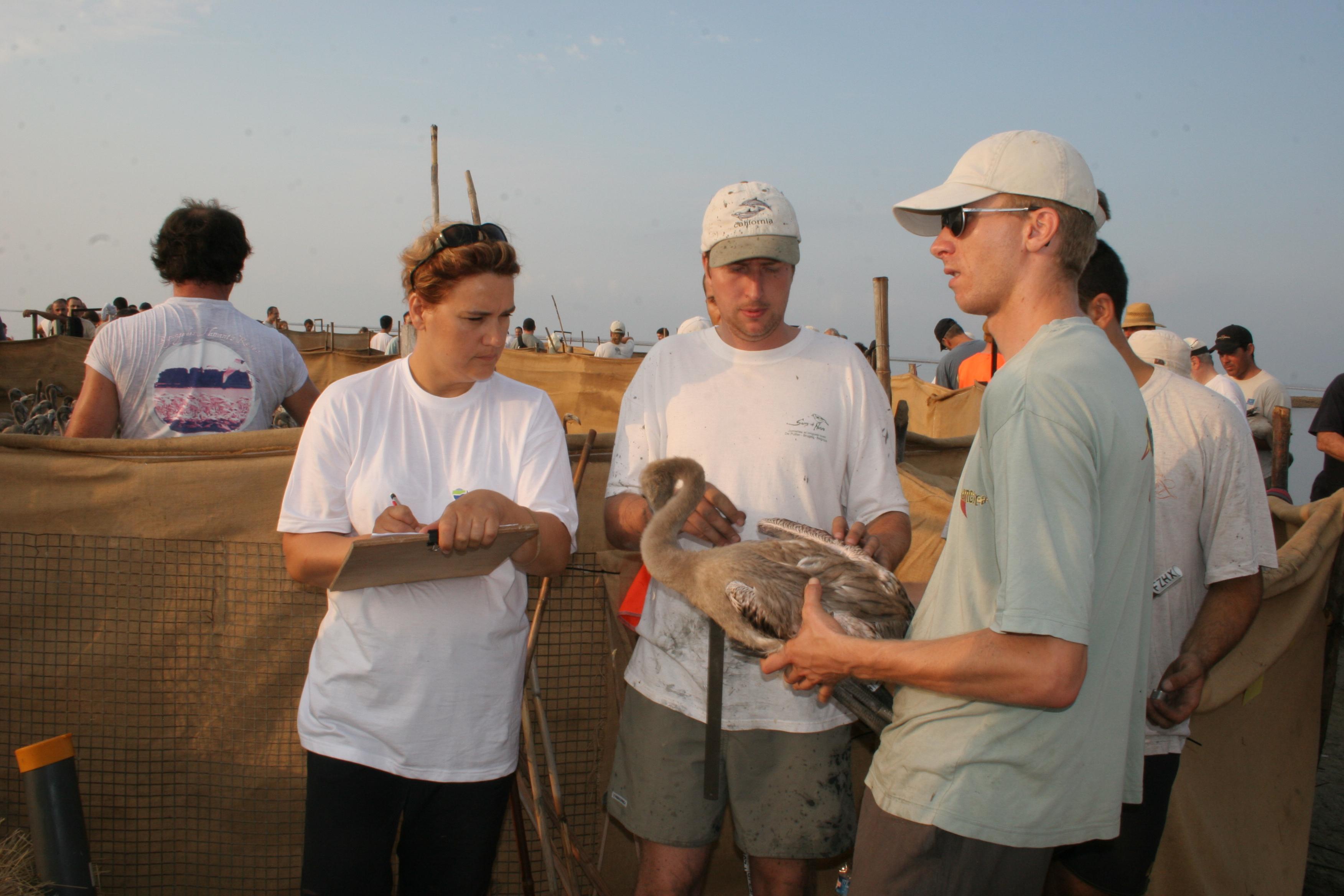 IMG_7970.JPG