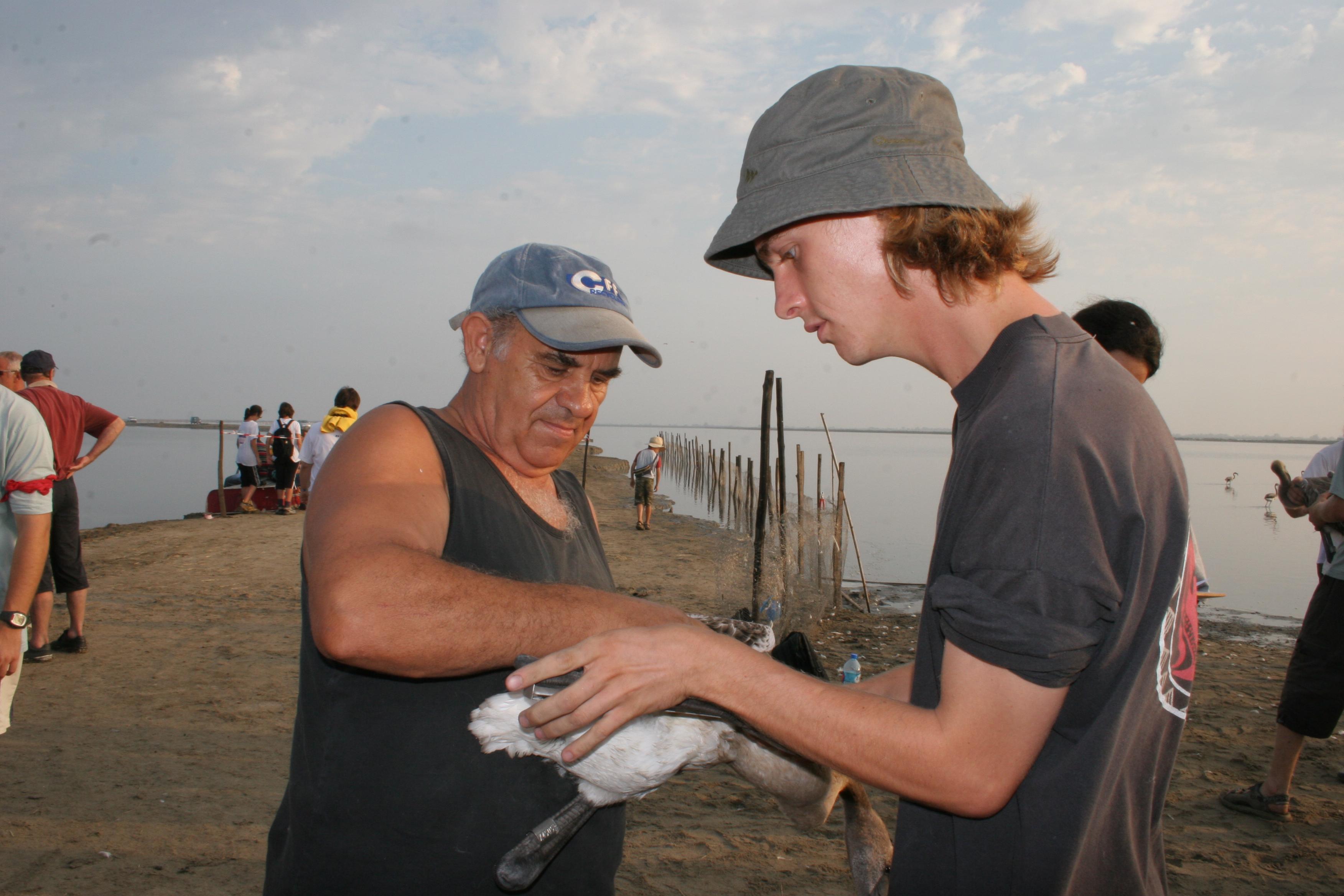 IMG_7979.JPG