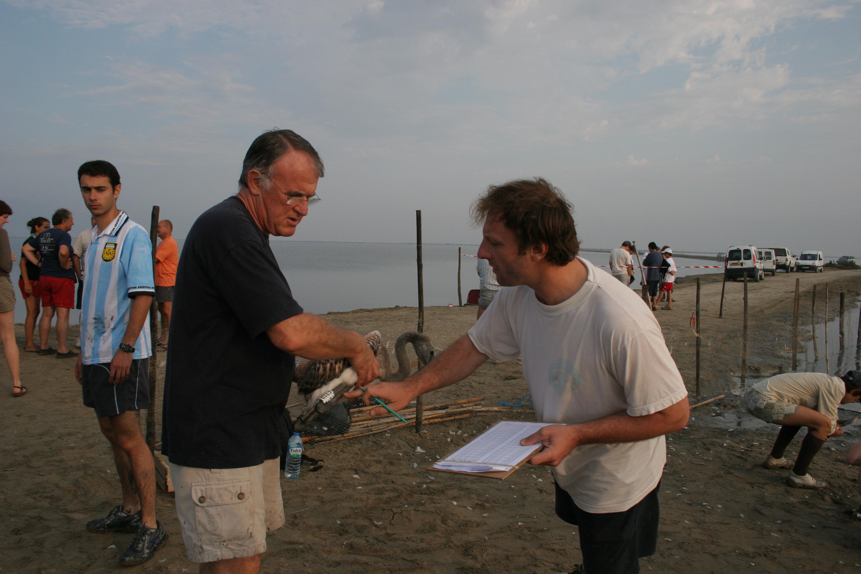 IMG_8015.JPG