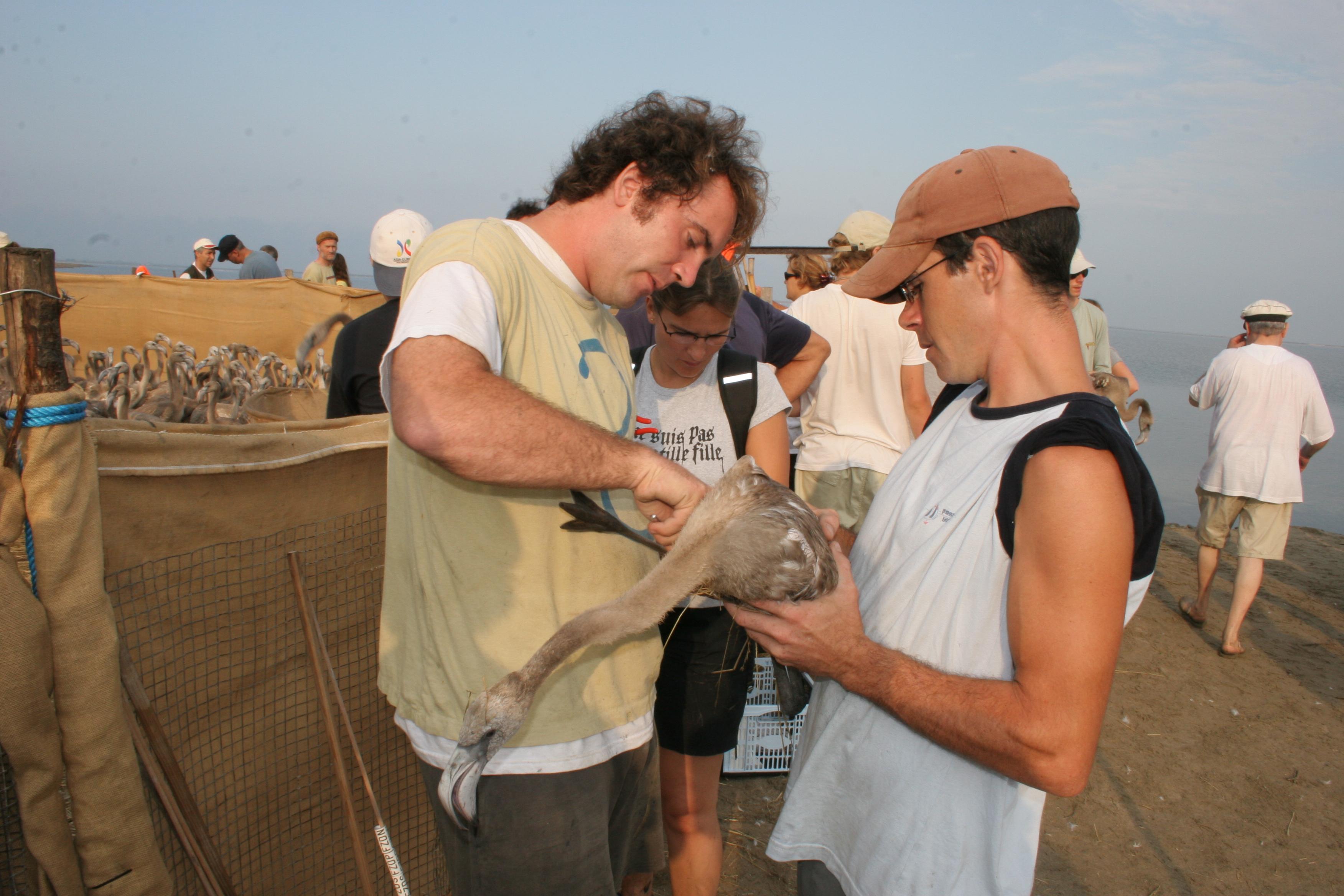 IMG_8046.JPG