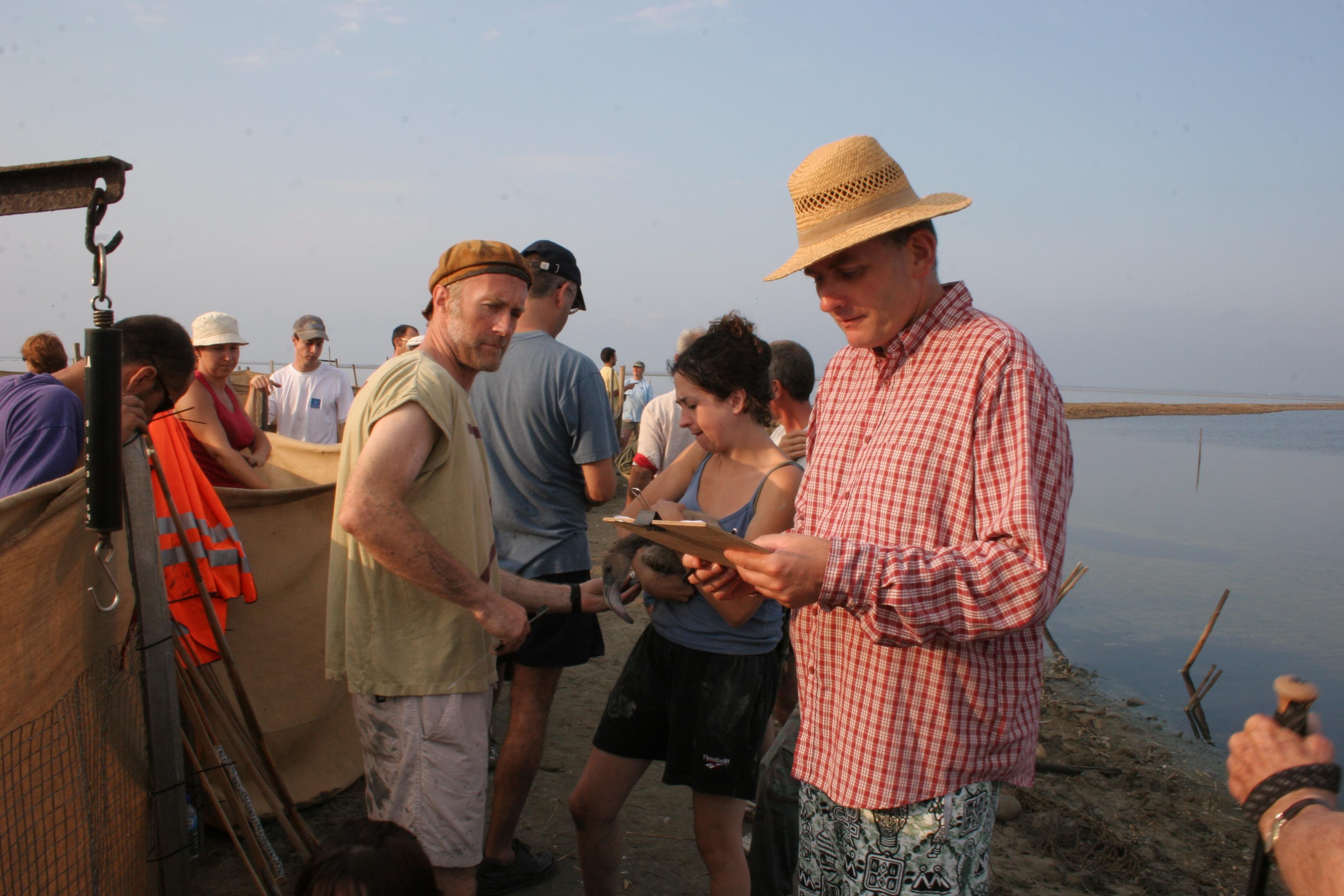 IMG_8050.JPG
