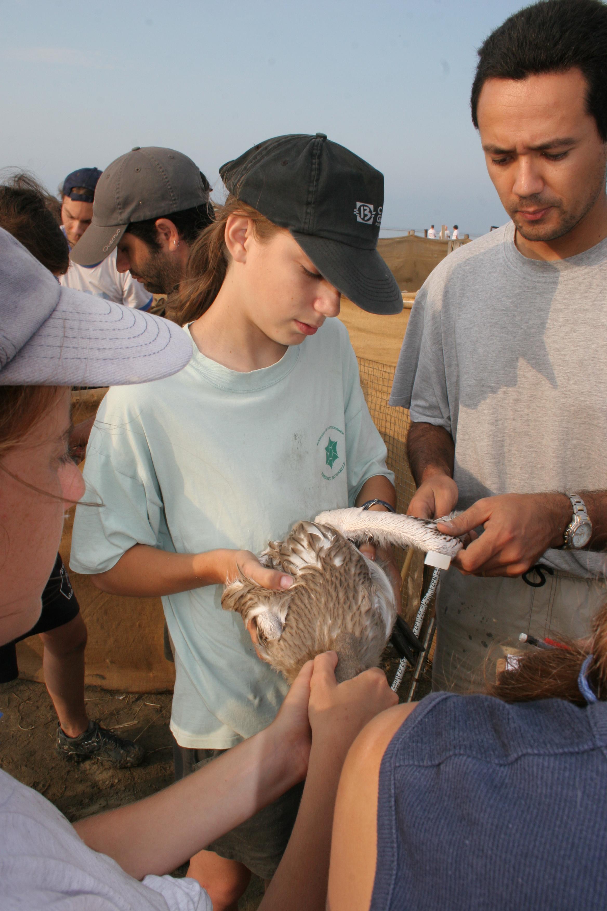 IMG_8054.JPG
