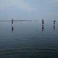 IMG_7594.JPG