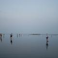 IMG_7596.JPG