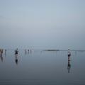 IMG_7597.JPG