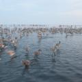 IMG_7634.JPG