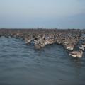 IMG_7648.JPG