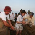 IMG_7828.JPG