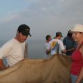 IMG_7847.JPG IMG_7847.JPG