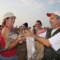 IMG_7967.JPG