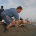 IMG_7999.JPG
