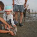 IMG_8007.JPG