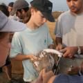 IMG_8054.JPG