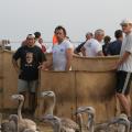 IMG_8062.JPG
