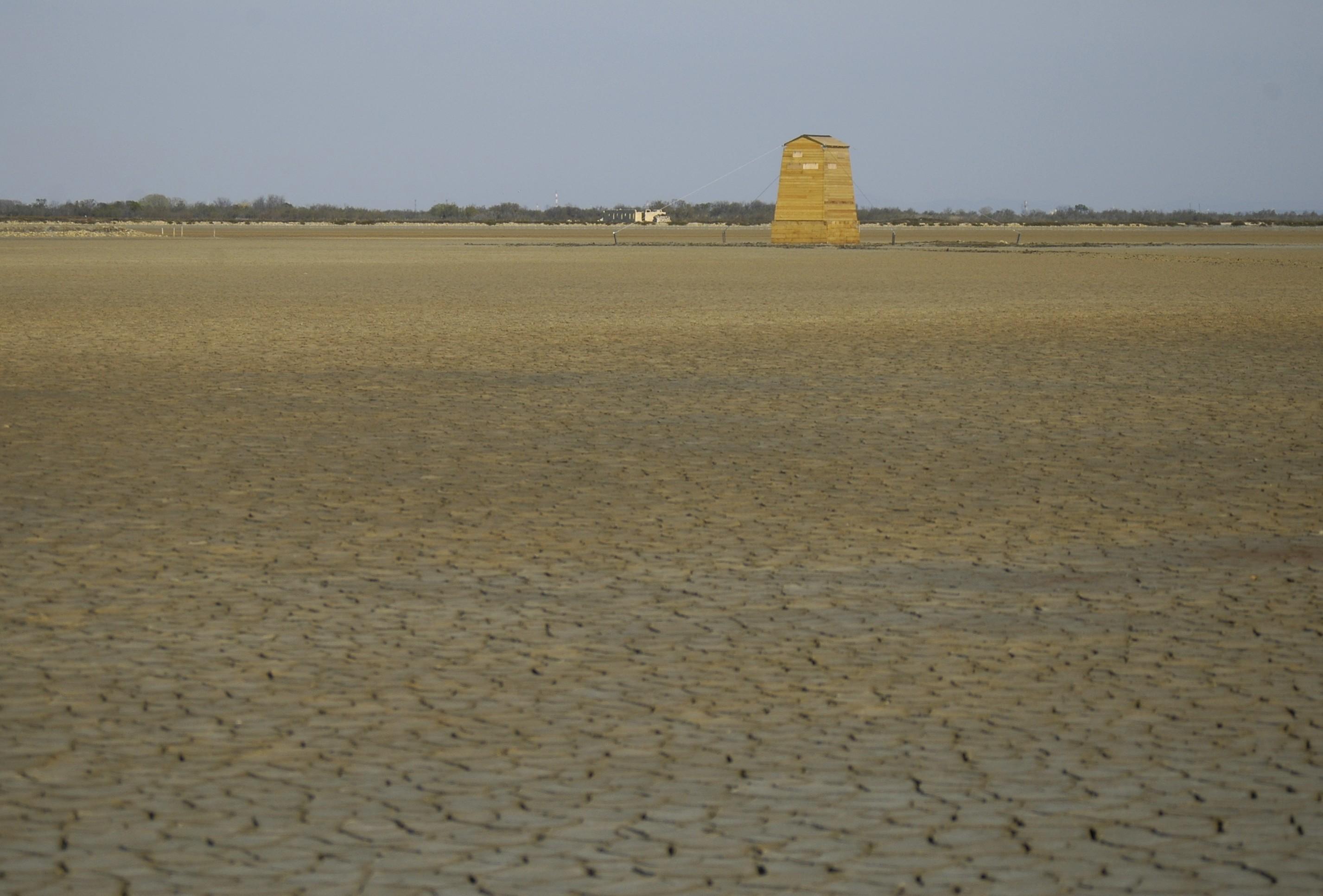 0804021713_DSC2530.JPG