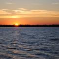 1008040634JPNDSC_0284.jpg
