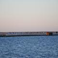 1008040650JPNDSC_0308.jpg