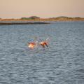 1008040705KTIIMG_0114.JPG