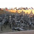 1008040707KTIIMG_0126.JPG