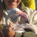 1008040822LAMIMG_3936.JPG