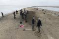 03/12/2015 12:40 - ©2015, Jean E. Roché / Tour du Valat - Private Use Only 151203124048Moulages-nids-flamants-90.jpg
