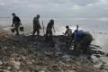 03/12/2015 12:45 - ©2015, Jean E. Roché / Tour du Valat - Private Use Only 151203124531Moulages-nids-flamants-43.jpg