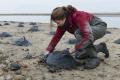 03/12/2015 13:04 - ©2015, Jean E. Roché / Tour du Valat - Private Use Only 151203130423Moulages-nids-flamants-113.jpg